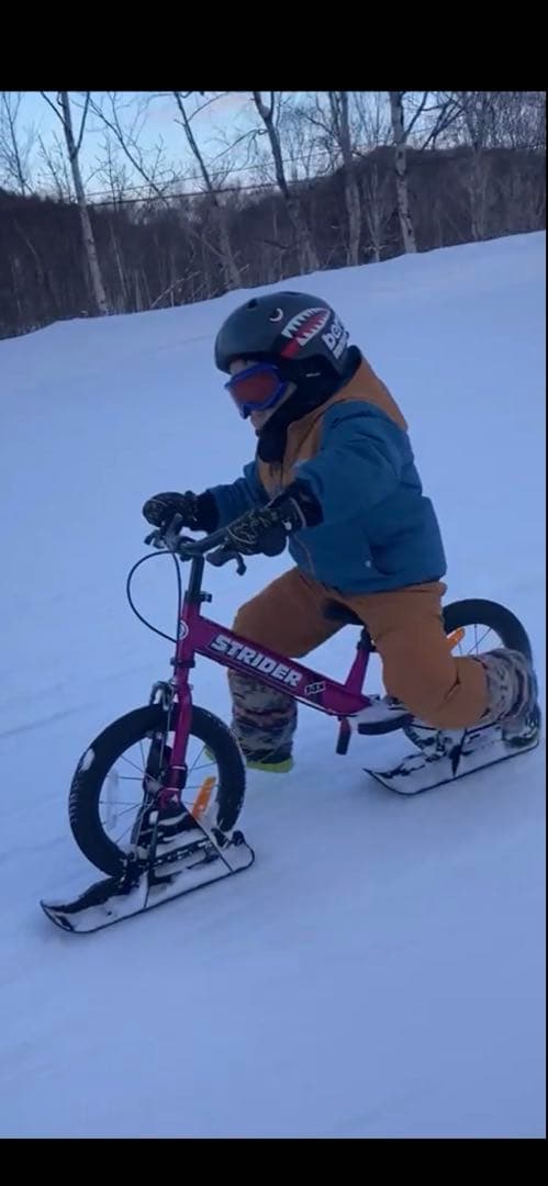 [2月18日 追加しました！] STRIDER 14X スノーストライダー付き