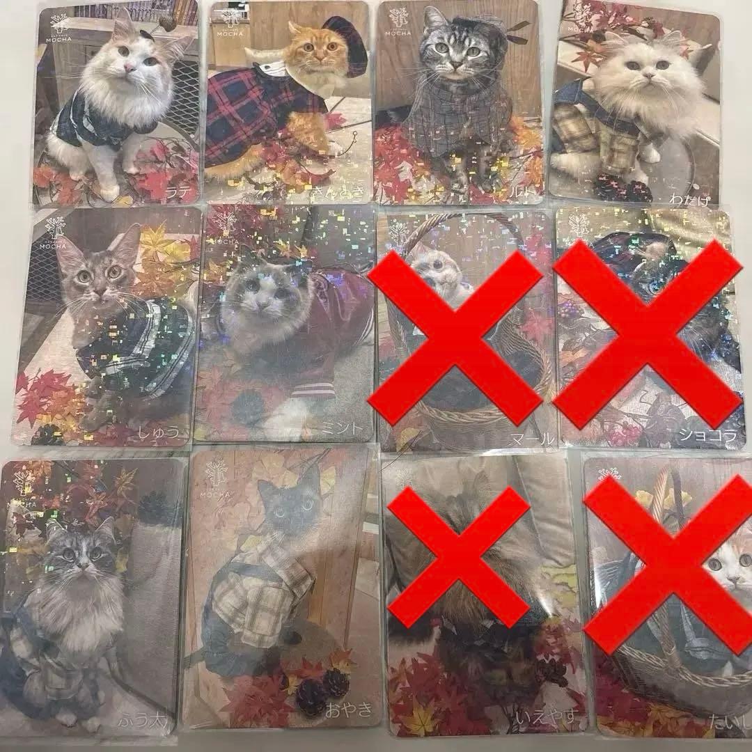 【猫カフェMOCHA 】イオンモール羽生店 2025年 秋 Autumnトレカ