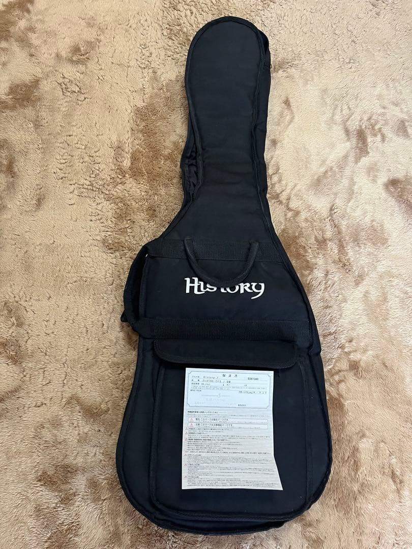 【調整済】History ヒストリー　国産　レスポール　ZLS100 レア
