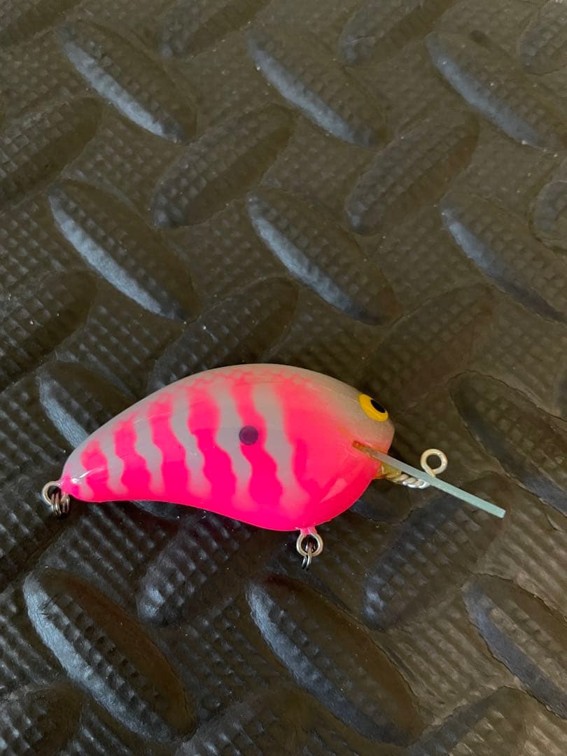 MPB ワイルドボアMR