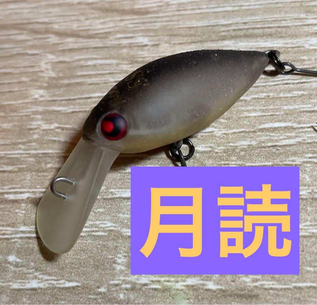 【オリカラ】　月読　モカdr ss エリアトラウト