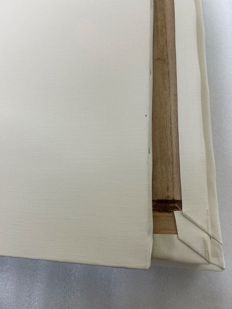 [未使用]クレサンジャパン　P20キャンバス　Aライン　リネン　9枚セット