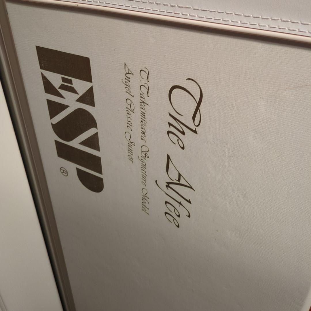 ESPエンジェルクラシックジュニア高見沢俊彦氏