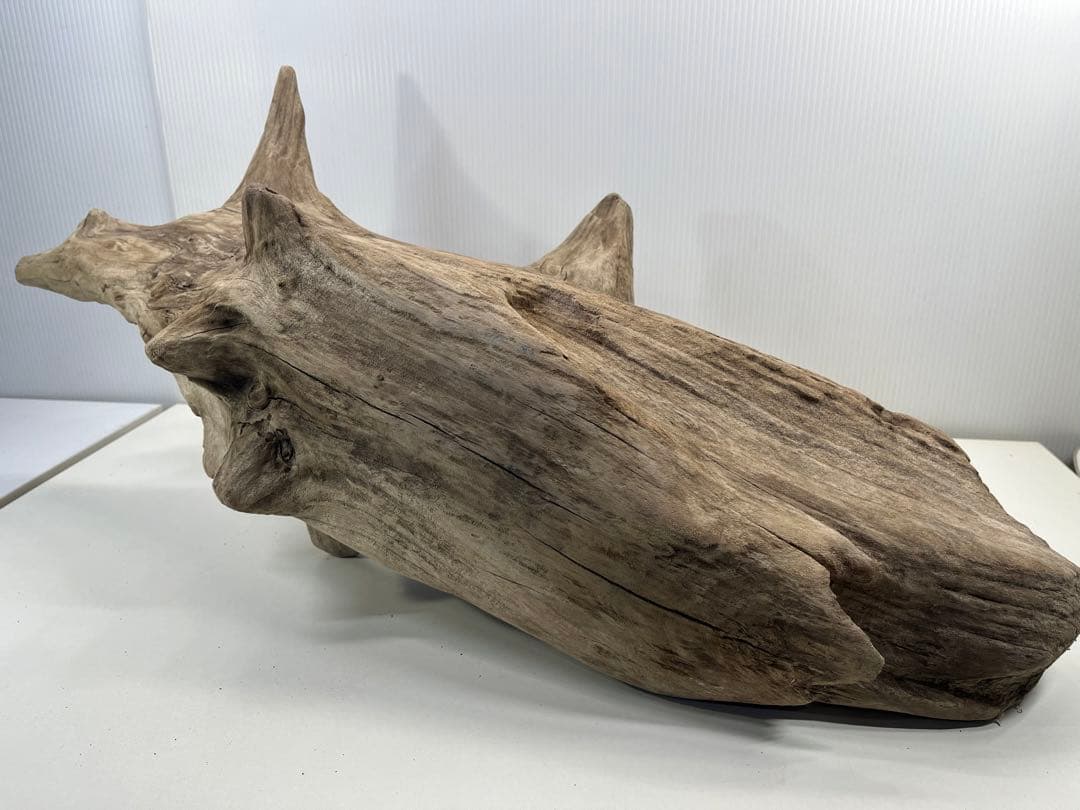 V68特大流木 アク抜き済み流木 爬虫類シェルター 登り木 インテリア 生け花