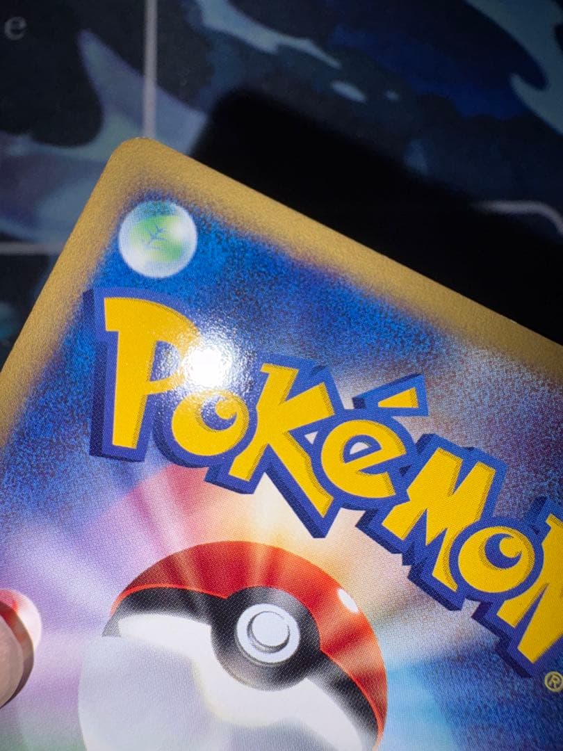 確認用（購入された場合ウォンバットのお写真送ります）