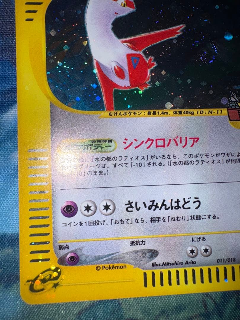 確認用（購入された場合ウォンバットのお写真送ります）