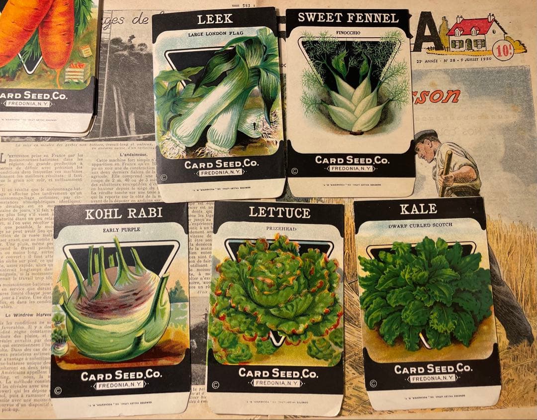 海外　ヴィンテージ　シードパケット10枚　a ジャンクジャーナル