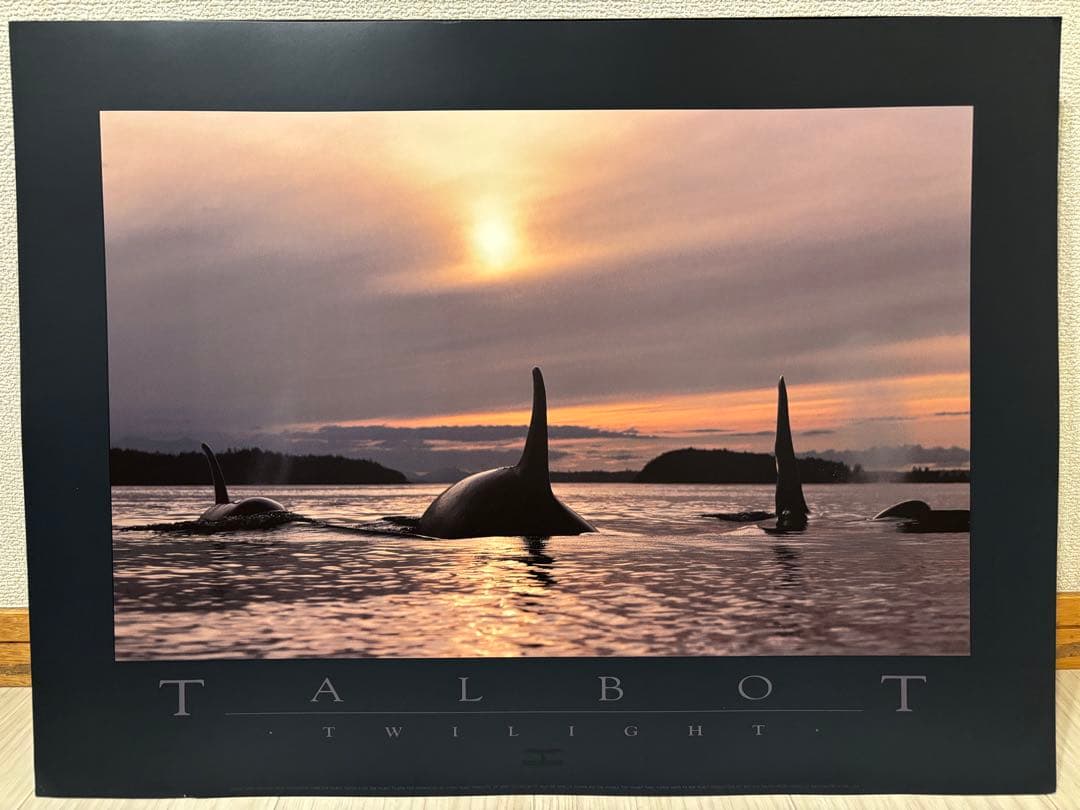 Bob Talbot 80s vintage poster 11種セット