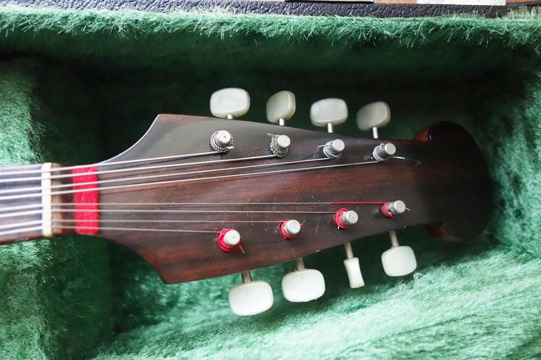 カラーチェ マンドリン RAFFAELE CALACE TYPE24 Z22