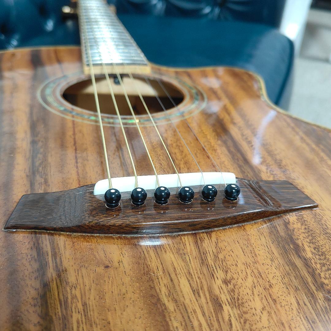 豪華アバロン！オールコア単板 アコースティックギター 龍インレイ フルコア 希少