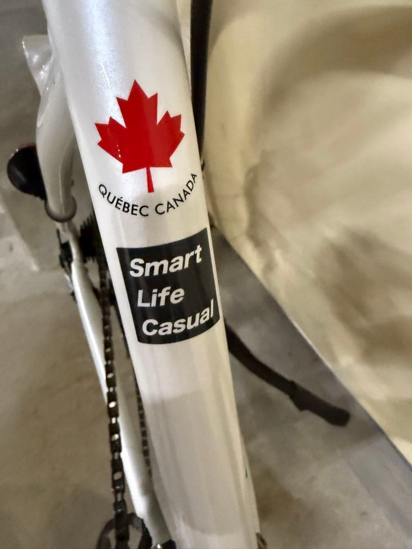 【美品】ルイガノ クロスバイク SETTER9.0 DISC 420mm