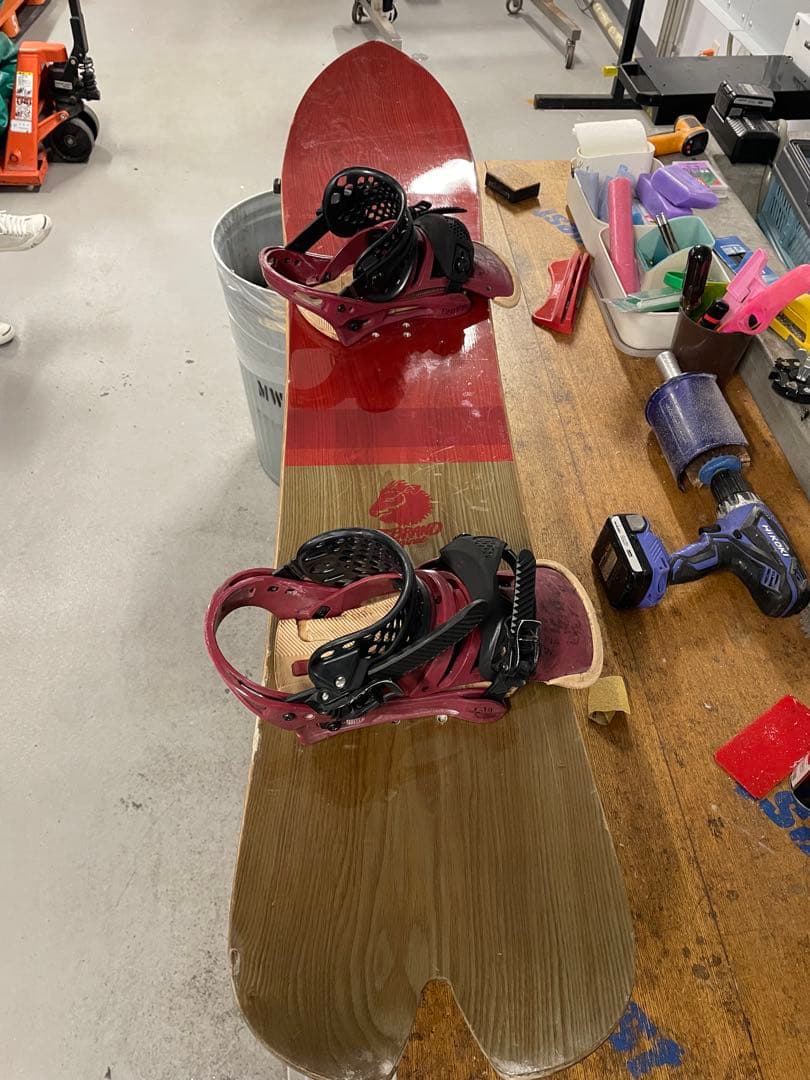 TJ brand ナポレオンフィッシュ