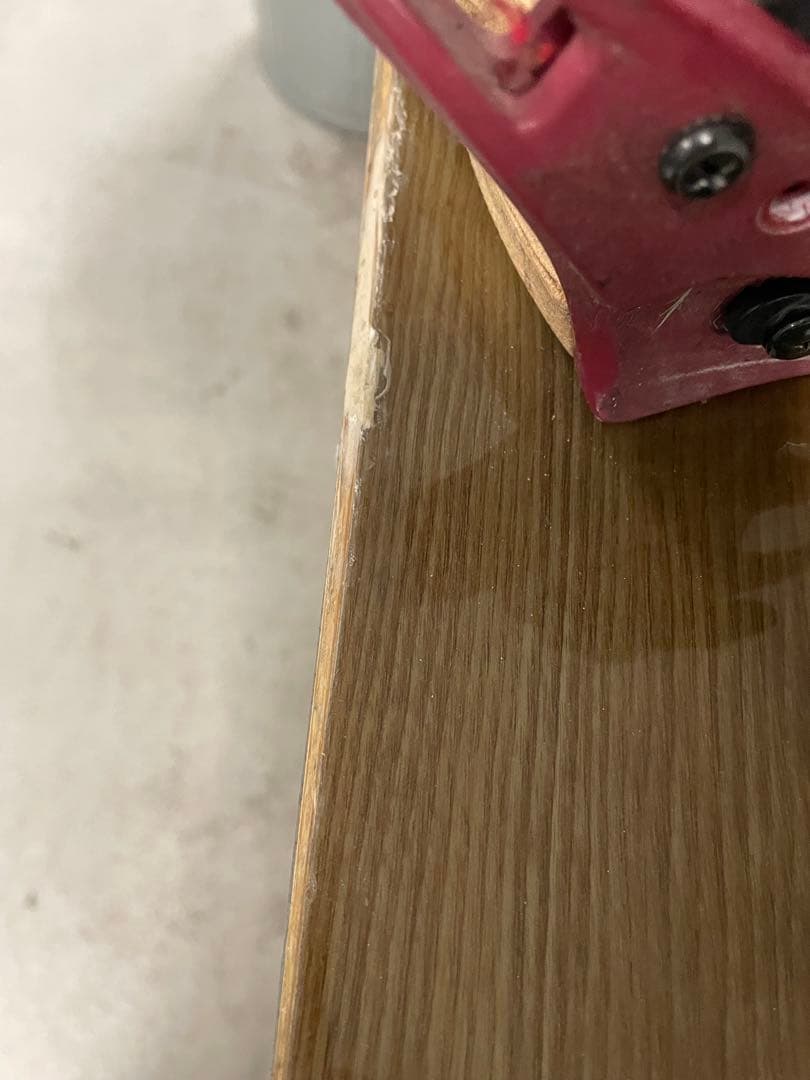 TJ brand ナポレオンフィッシュ