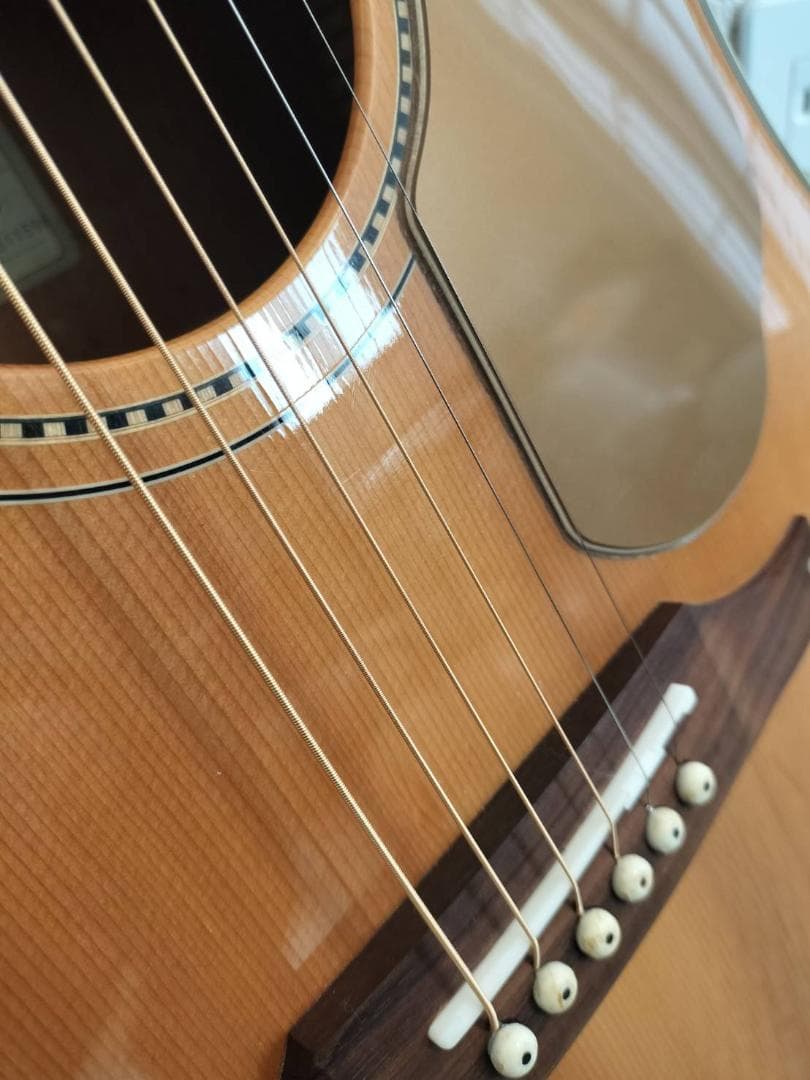 Fender Sonoran SCE NAT エレアコ 現状品 ギグバッグ付