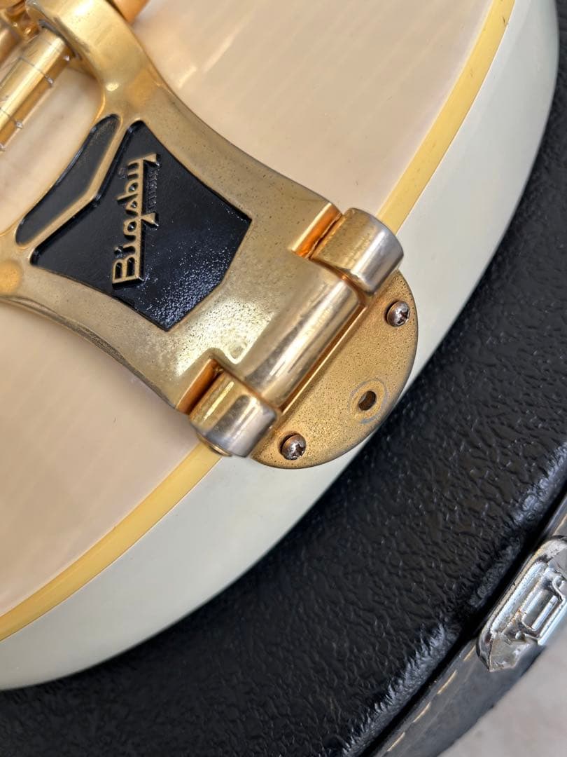 ギター Epiphone WildKat