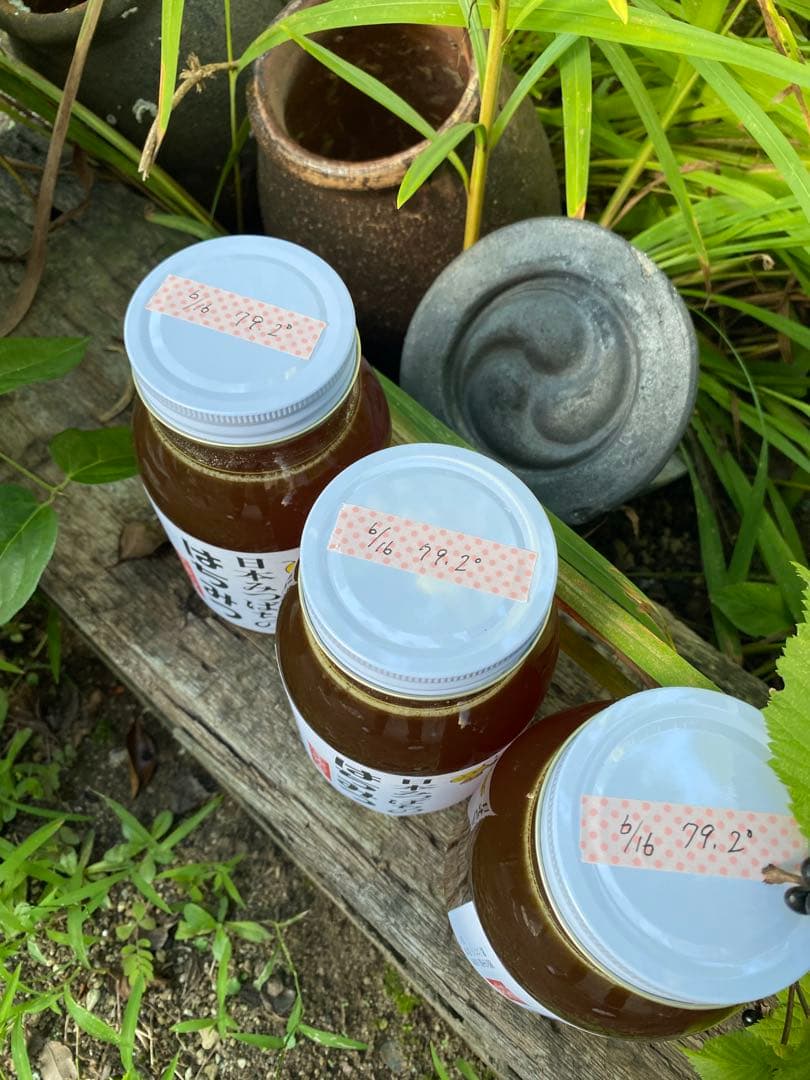 ハチミツ　日本蜜蜂の蜂蜜　奥山の奥のはちみつ