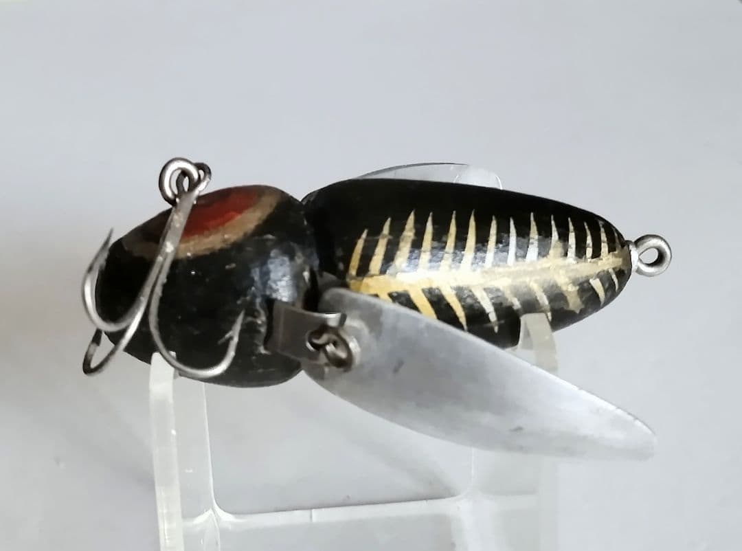 ジムドナリー ジャージーワウ Jim Donaly