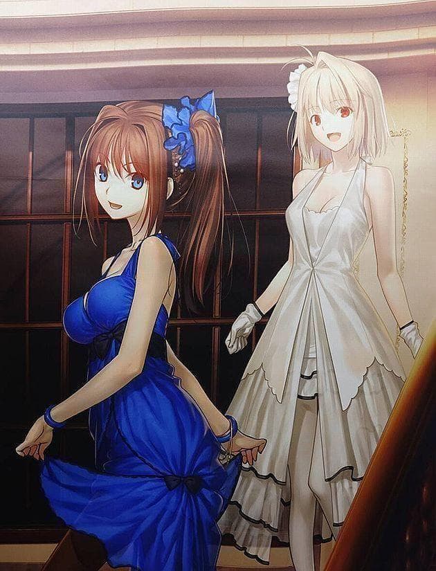 TYPE-MOON Fes -10TH 特大タペストリー