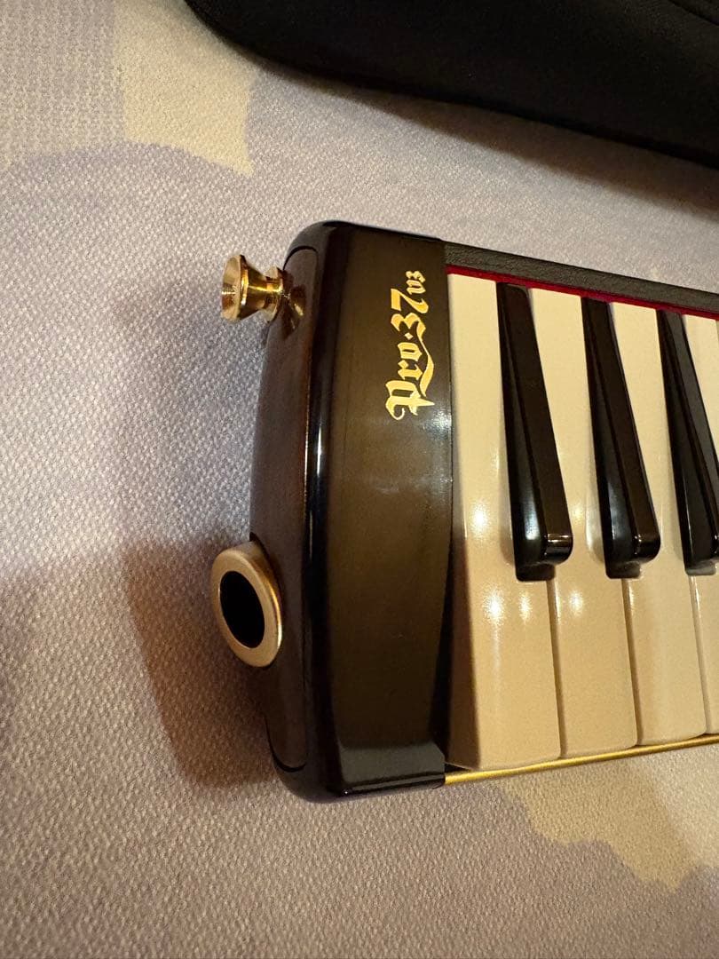 スズキ 鍵盤ハーモニカ メロディオン アルト PRO-37v3 美品