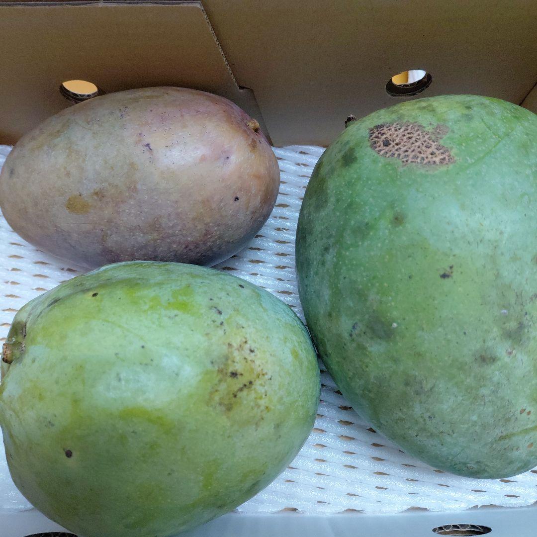 追熟型①と②　色々マンゴー食べ比べセット