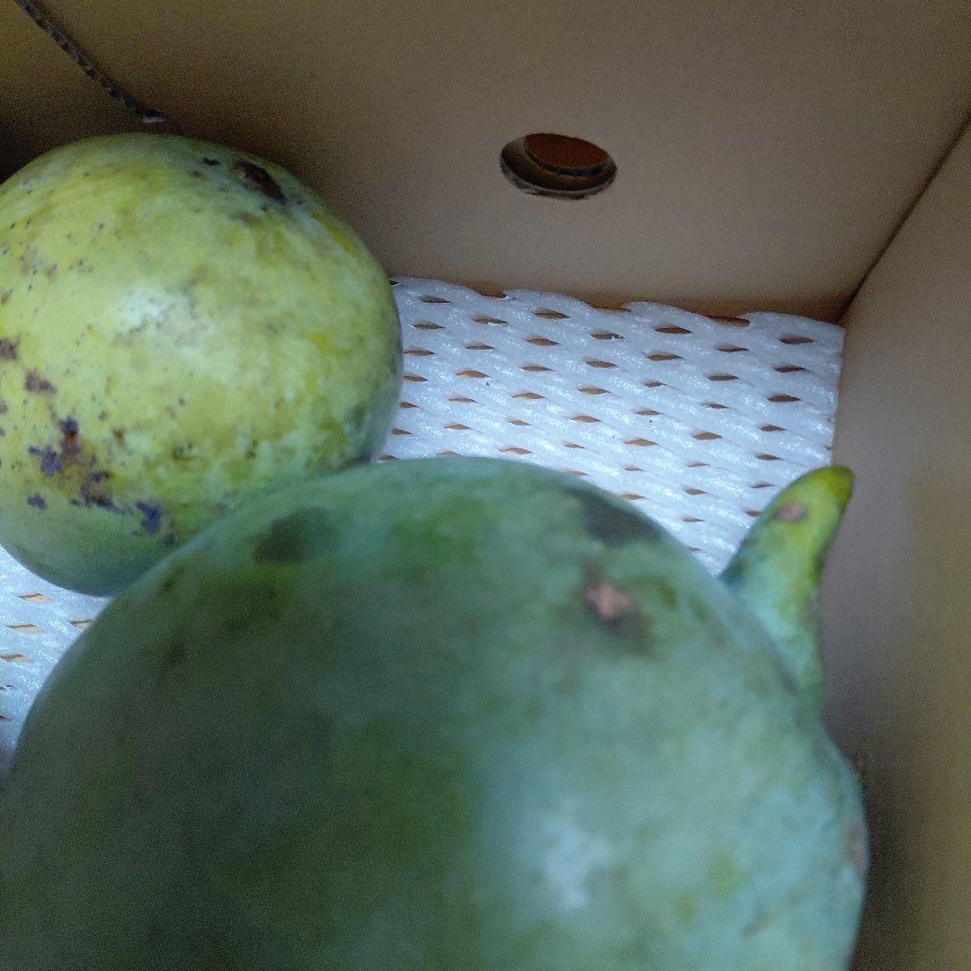 追熟型①と②　色々マンゴー食べ比べセット