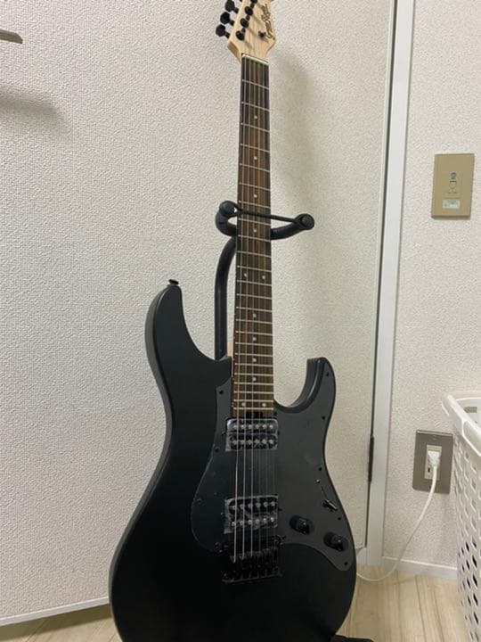 ギター grass roots  G-SN-45DX