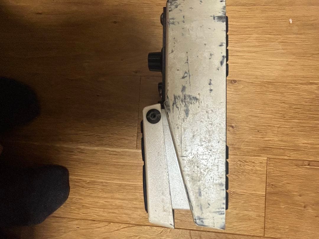 BOSS DD-20 めだか