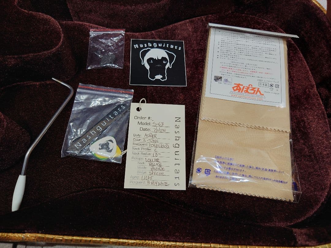 ギター Nashguitars S-63