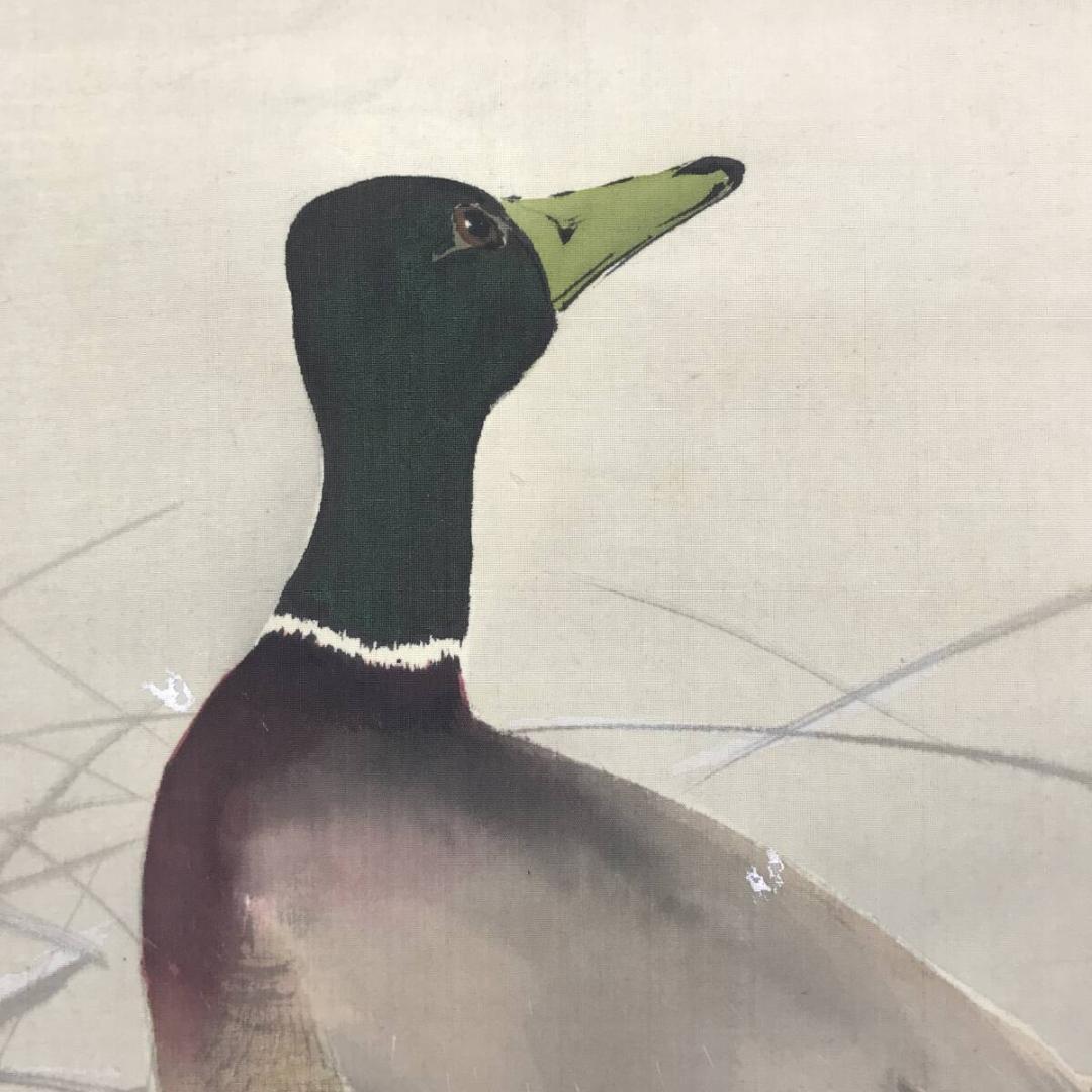 真作/今井景樹/雪中鴨図/加茂図/カモ図/花鳥図/掛軸/名家伝来/AH-707