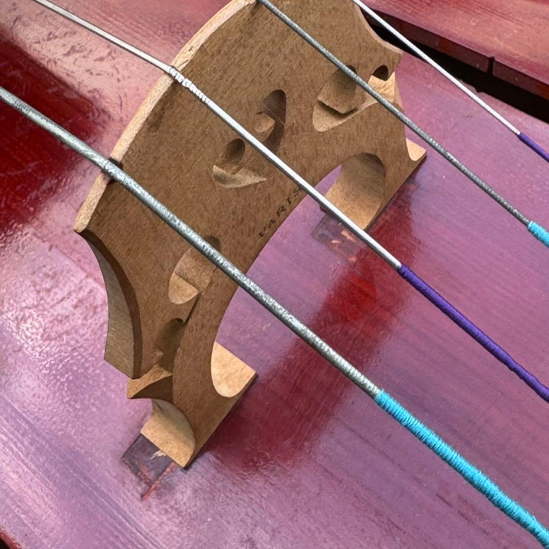 Kosuke Inoko/猪子宏祐 チェロ Anno1970【ジャンク品】