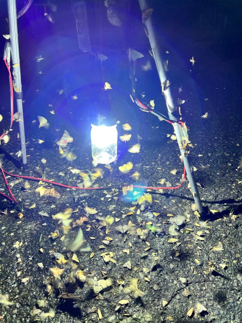 灯火採集　吊り下げ　置き型　ライトトラップ　HID55w 紫外線放出加工済