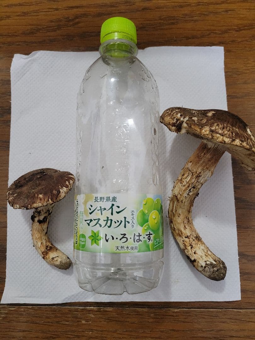 国産　岩手県産　松茸　220g