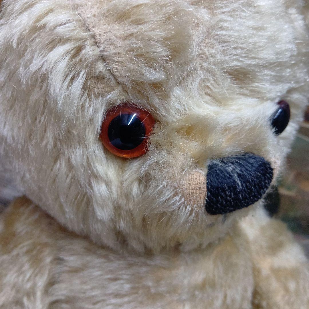 チコちゃん♥イギリスからやって来たクリクリお目目のアンティークチャドバレー