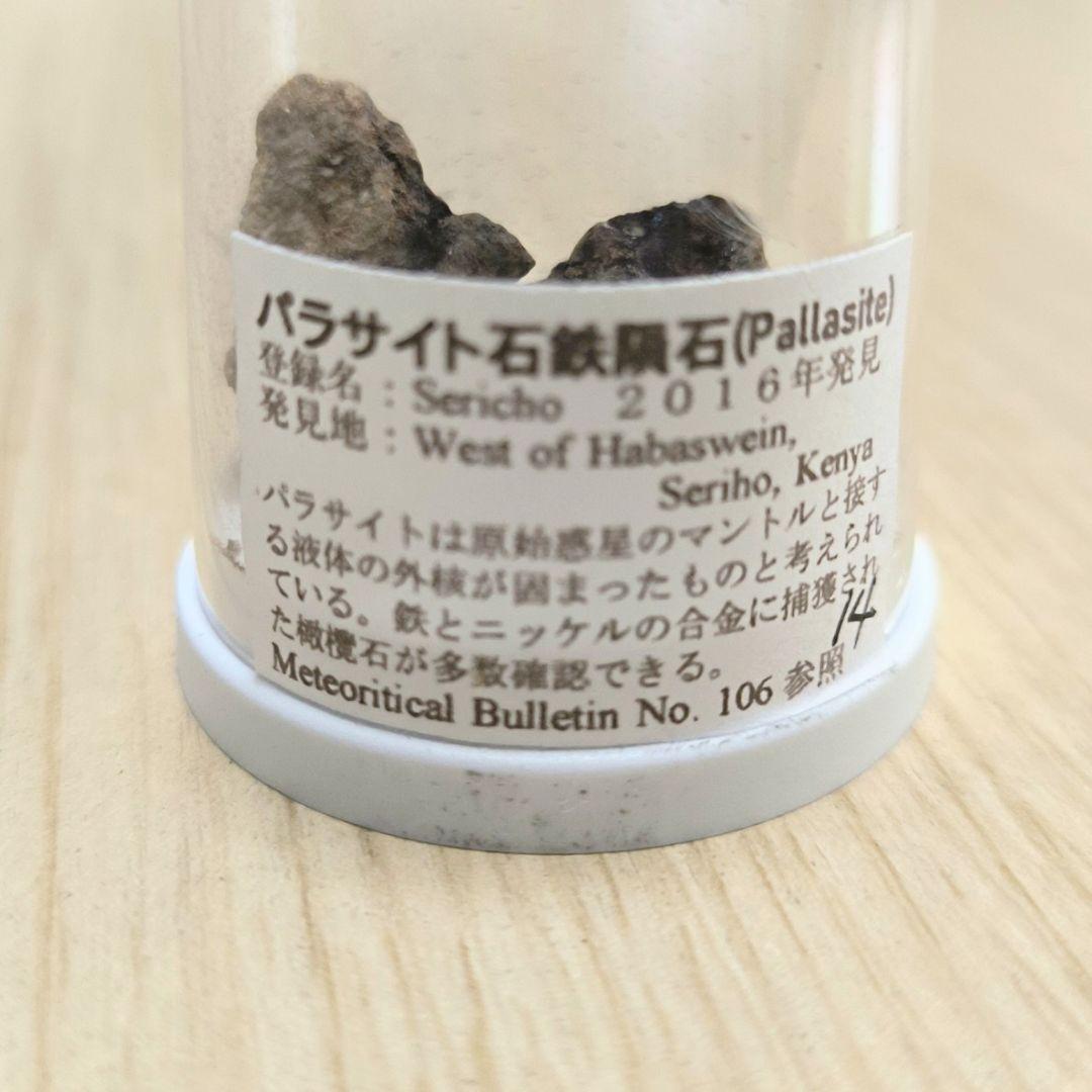 【希少】パラサイト石鉄隕石 (Pallasite) 標本 Sericho