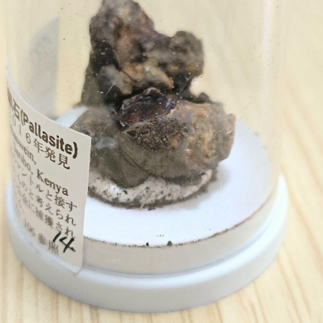 【希少】パラサイト石鉄隕石 (Pallasite) 標本 Sericho