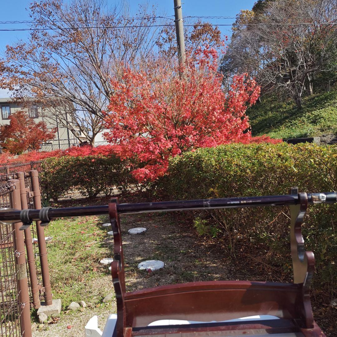 ＮＦ ２号フカセ