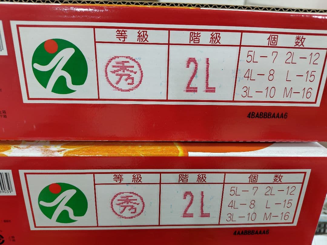 愛媛県産　紅まどんな 　赤秀2Lサイズ 12個入り　化粧箱　限定１箱