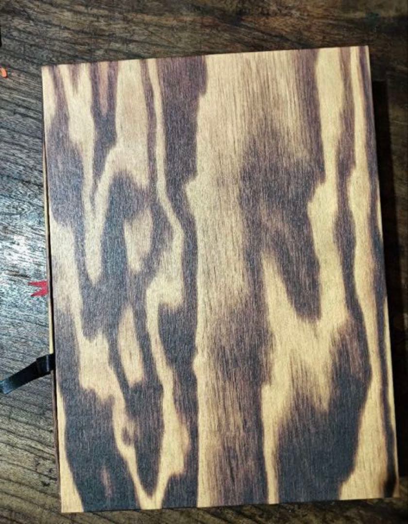 BOTTEGA VENETA by alec soth 書籍　アート集