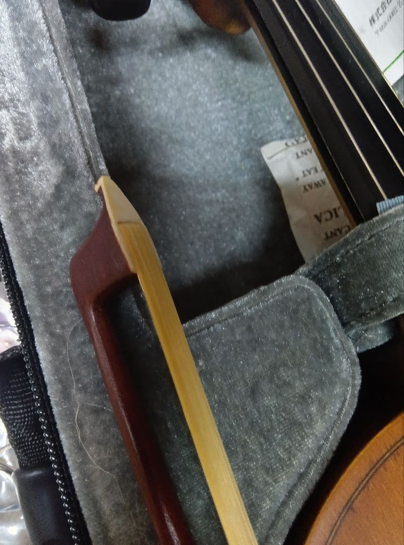 wakoハルシュタット　 バイオリン