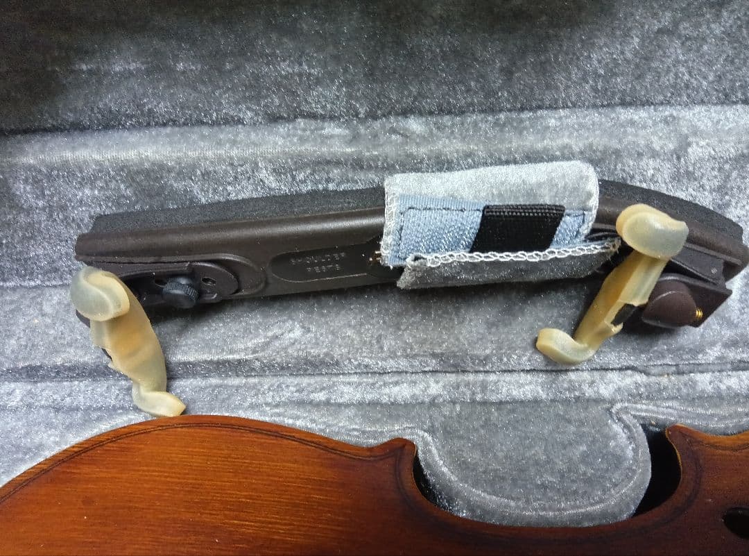 wakoハルシュタット　 バイオリン