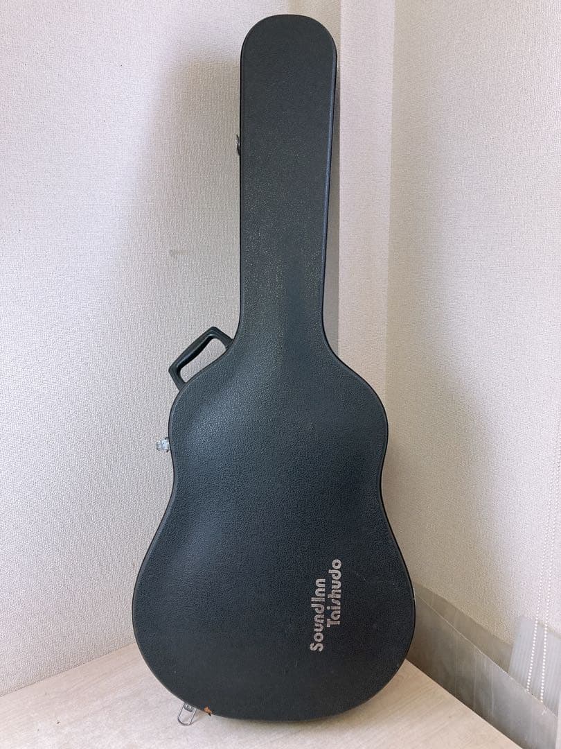 a*9様 Cat’s Eyes CE-500 アコースティックギター ハードケー