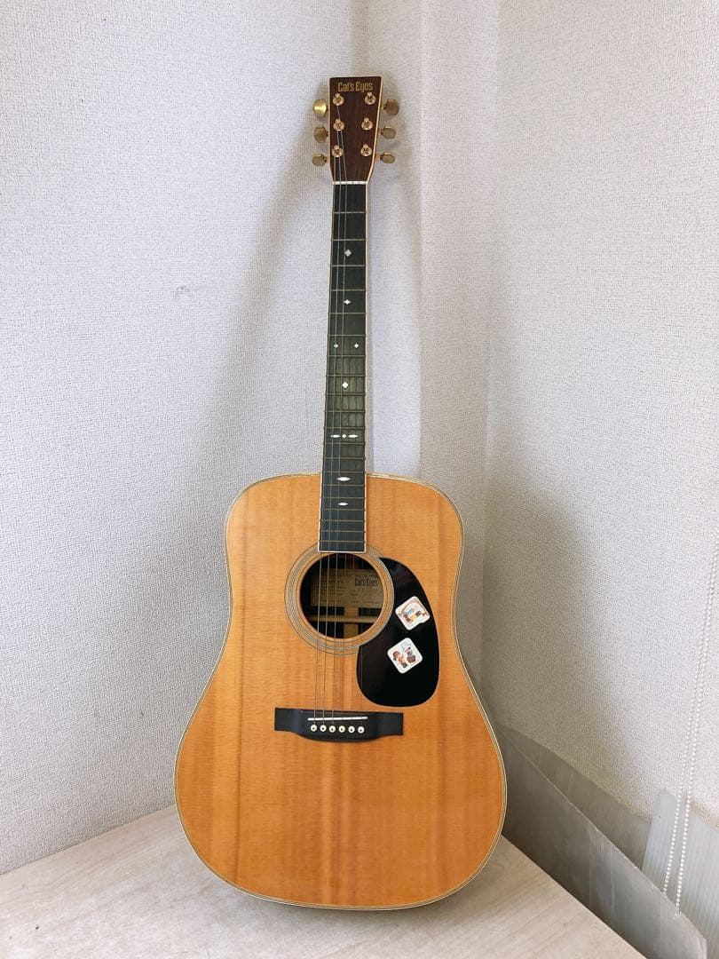 a*9様 Cat’s Eyes CE-500 アコースティックギター ハードケー