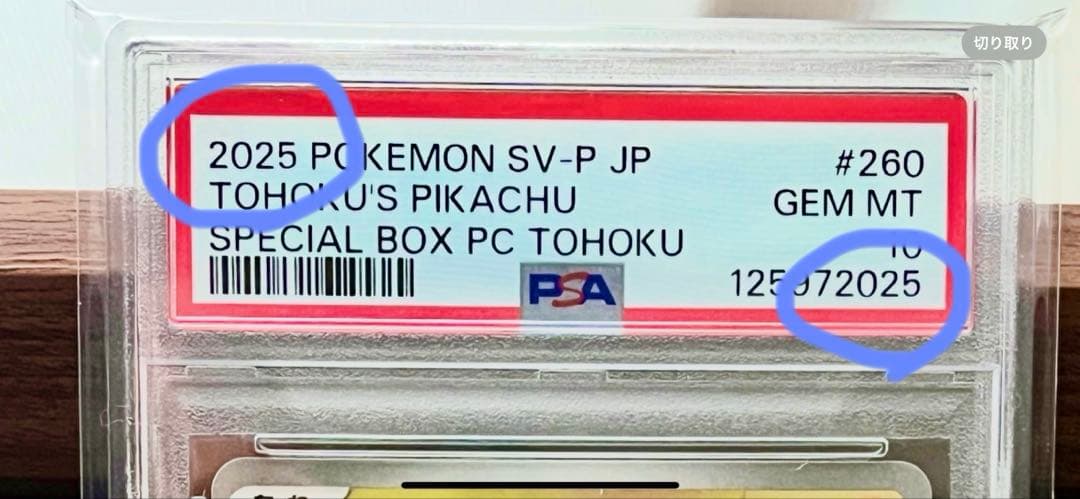 トウホクのピカチュウ PSA10 TOHOKU'S PIKACHU #260