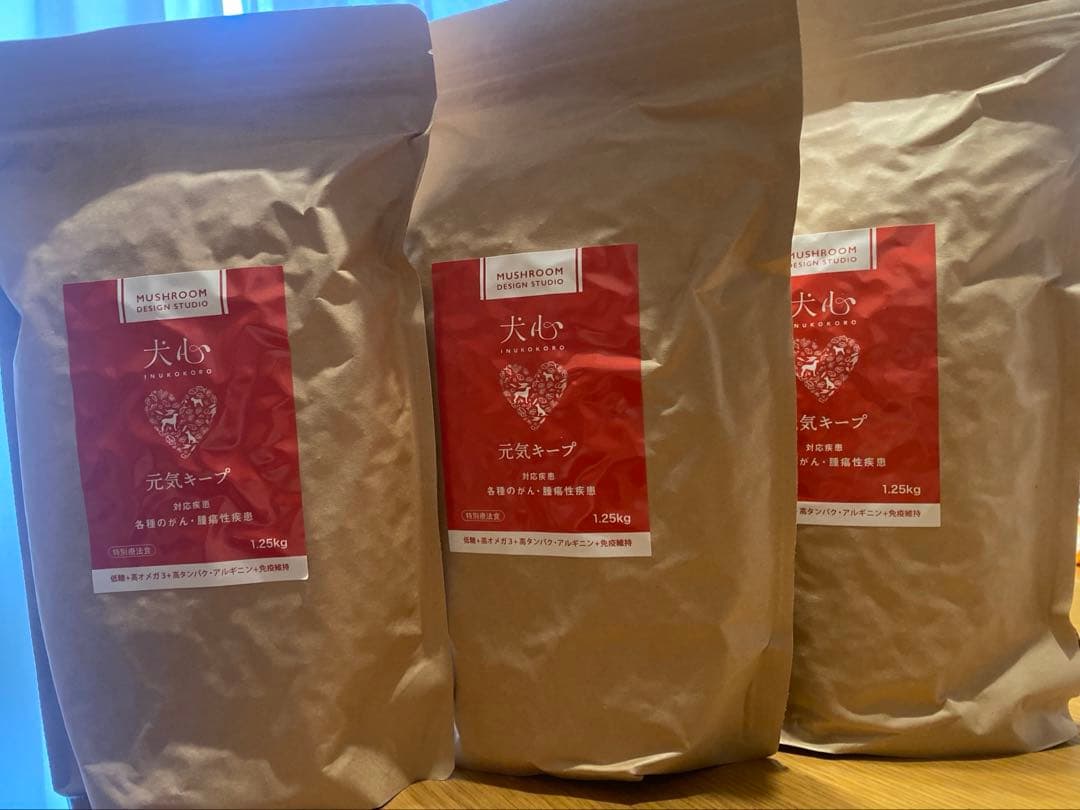 犬心　元気キープ