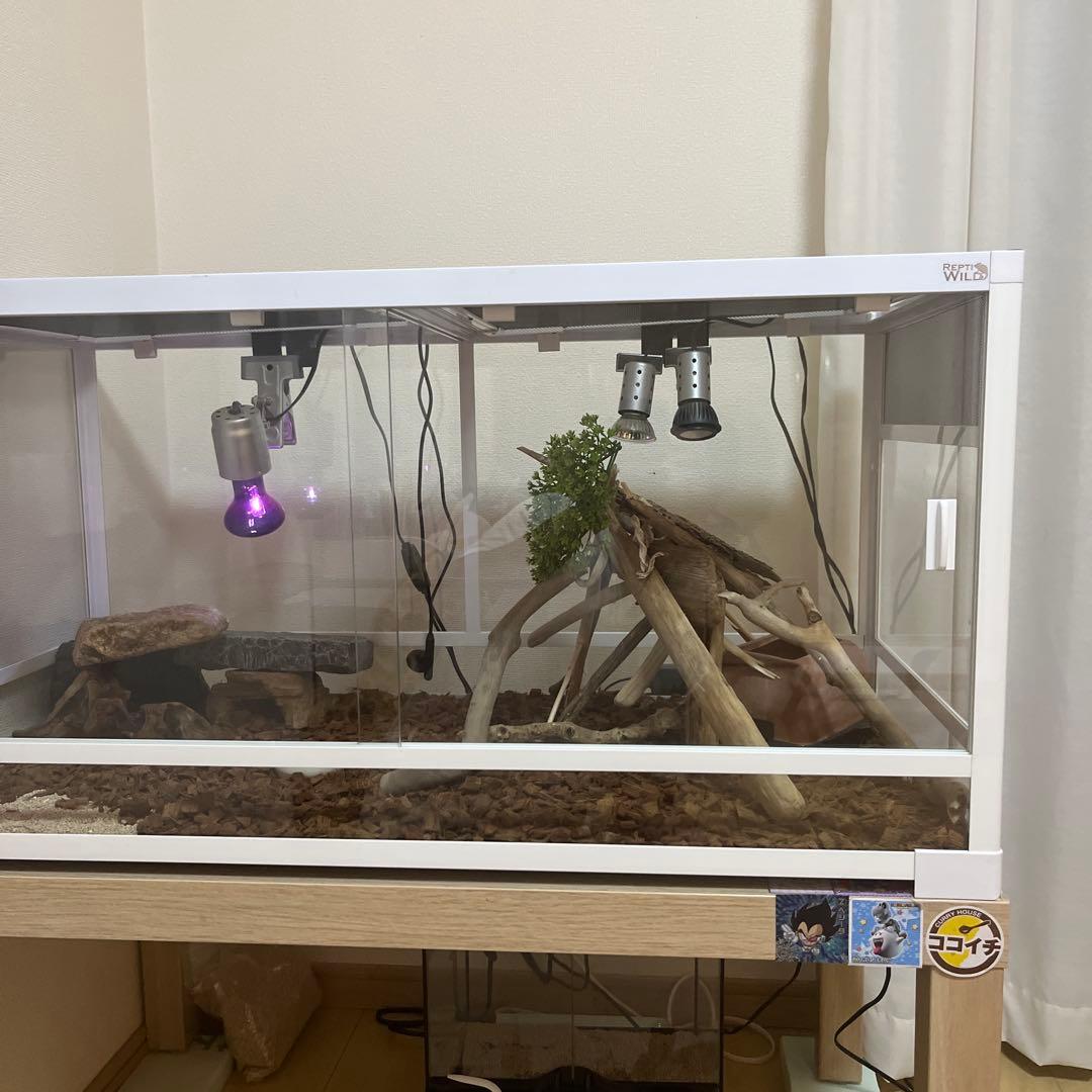 爬虫類・両生類用飼育ケージ パンテオン9045ホワイト　千葉県　発送不可