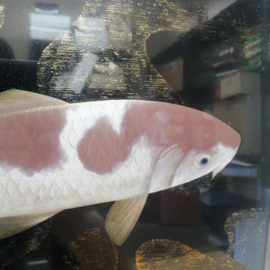 稲元実? 沢田実? 鯉 写実 絵画 色彩 水彩 油彩 F6サイズ