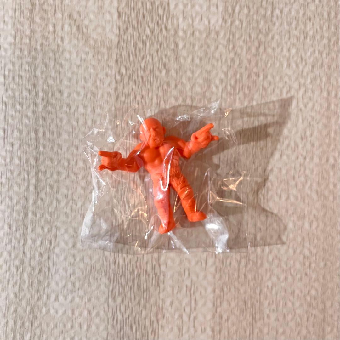 パンフレット　ムトケシ