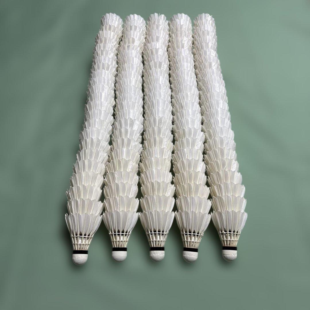 バドミントンシャトル ノック、トスバッティング用 205