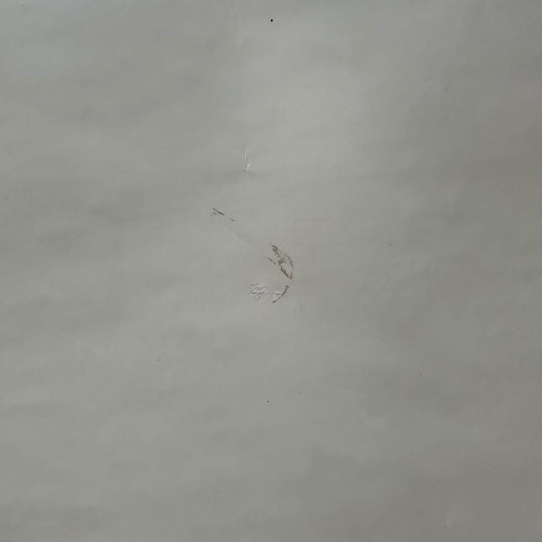 MARTIN MARGIELA 1997SS ポスター Marina Faust