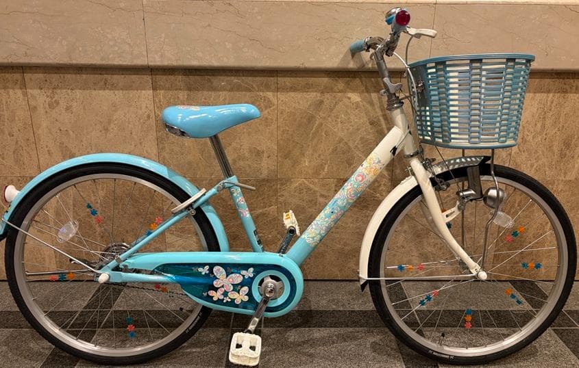 ブリジストン　エコパル-22インチjunior-手渡しのみでお願いします